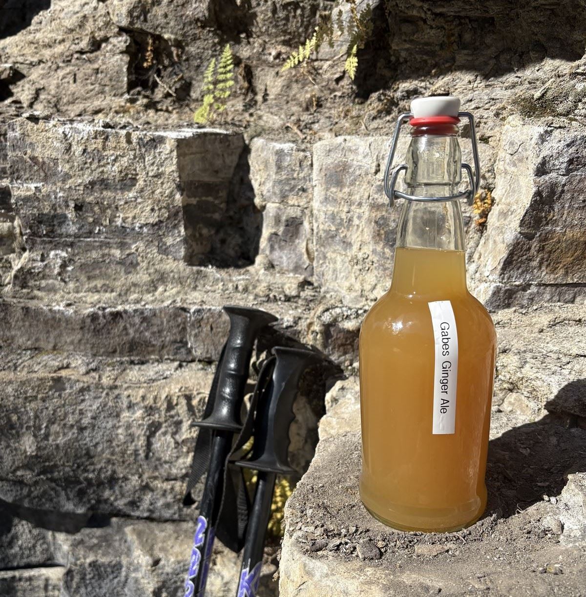 Early Gabe's Ginger Ale bottle with a simple printed sticker label