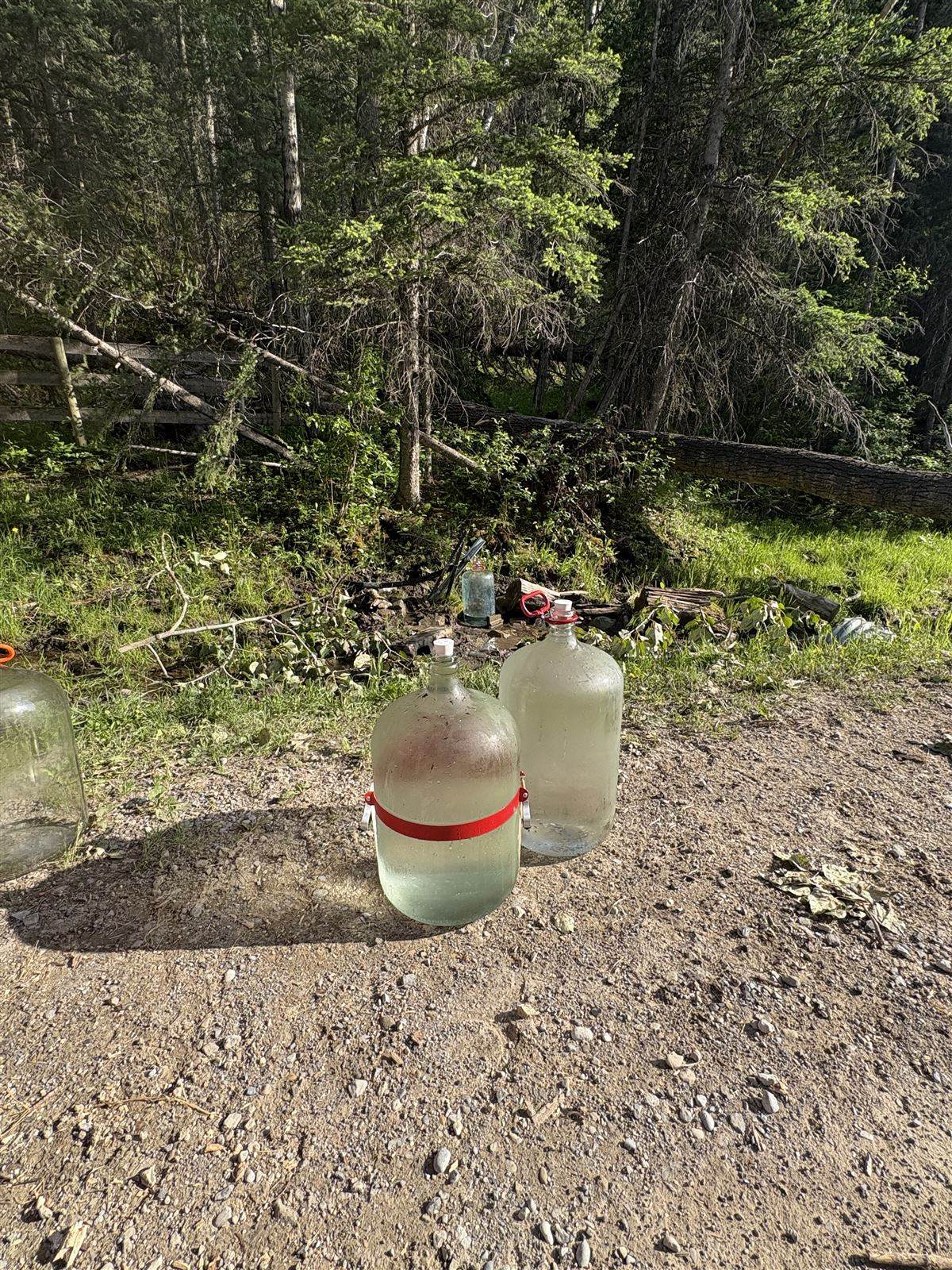Glass jugs filled at the free-flowing spring
